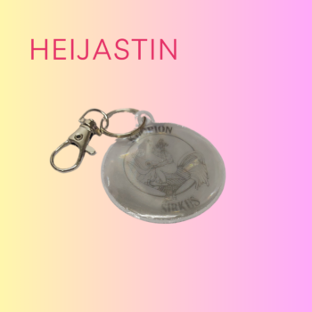 Heijastin